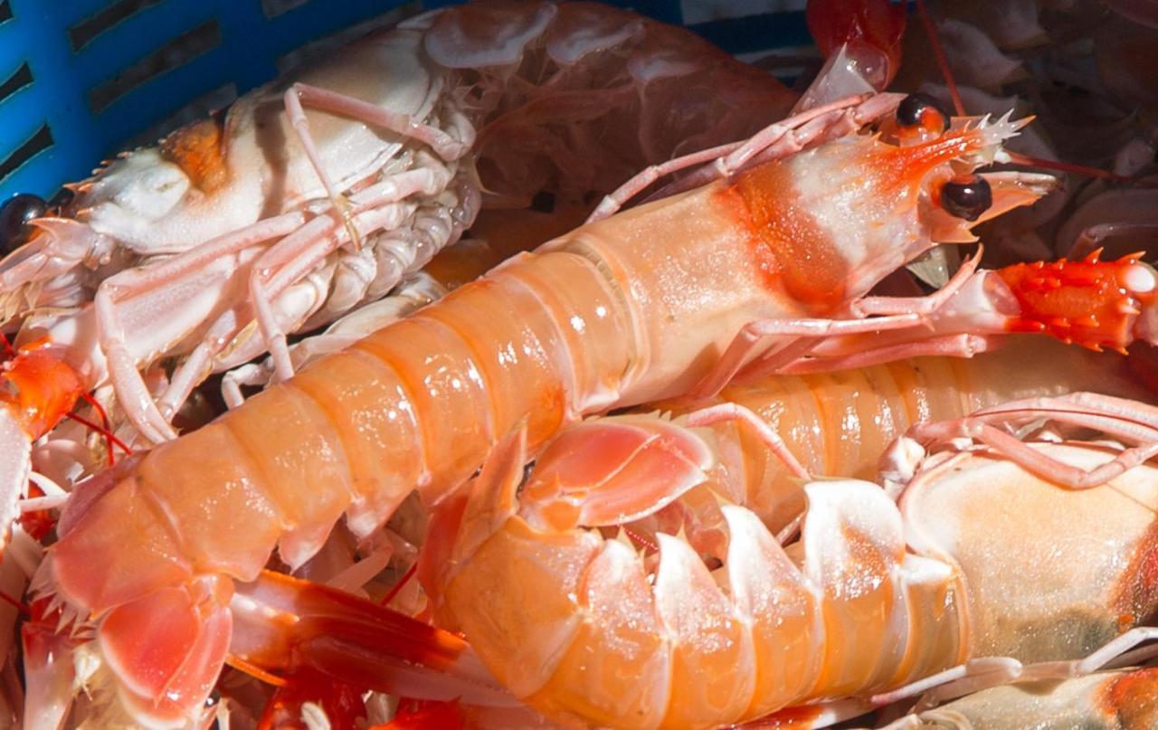 La Casita Del Pescador Villa Caleta De Velez Dış mekan fotoğraf